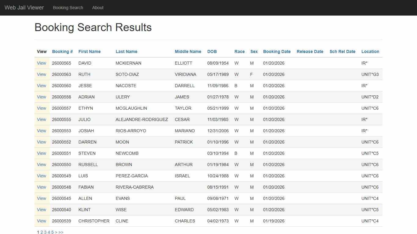 BookingSearchDetail - Web Jail Viewer